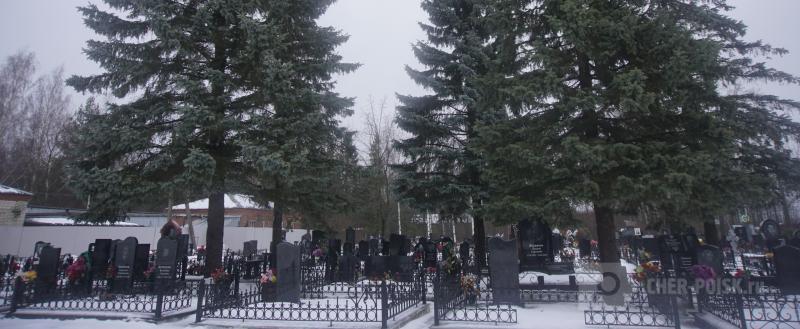 Череповец-Поиск