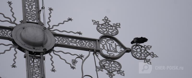 Череповец-Поиск