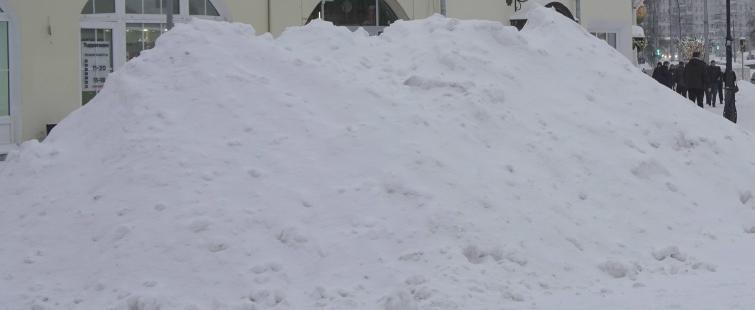 Тимур Бойков, Vologda-poisk.ru