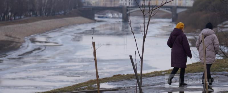 Череповец-Поиск