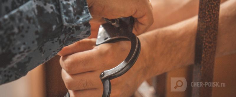 Череповец-Поиск