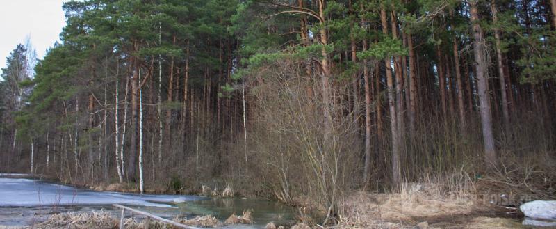 Череповец-Поиск