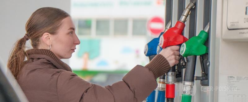 Череповец-Поиск