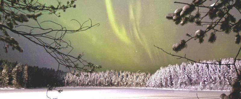 Череповец-Поиск