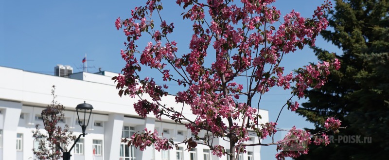 Череповец-Поиск