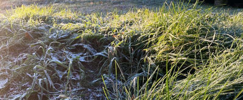 Череповец-Поиск