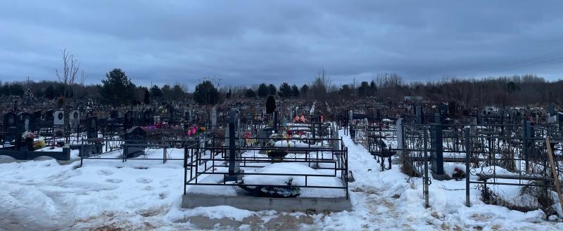 Череповец-Поиск