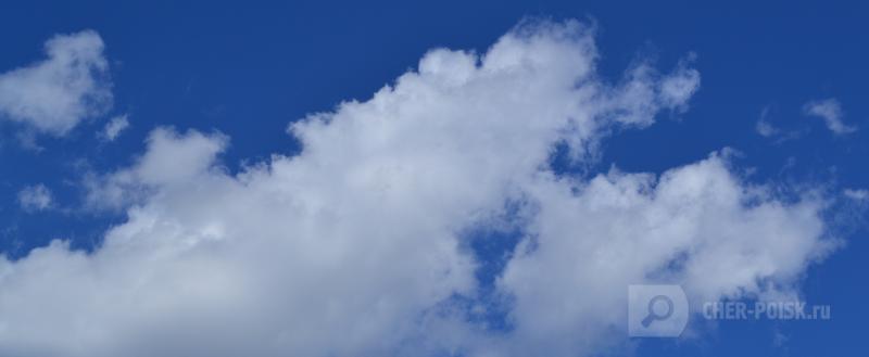 Череповец-Поиск