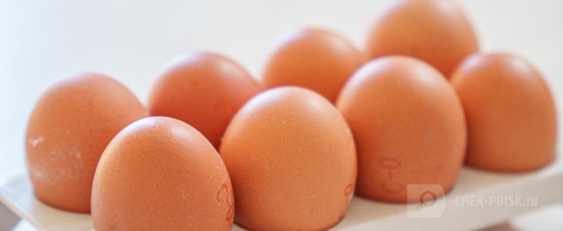 Череповец-Поиск