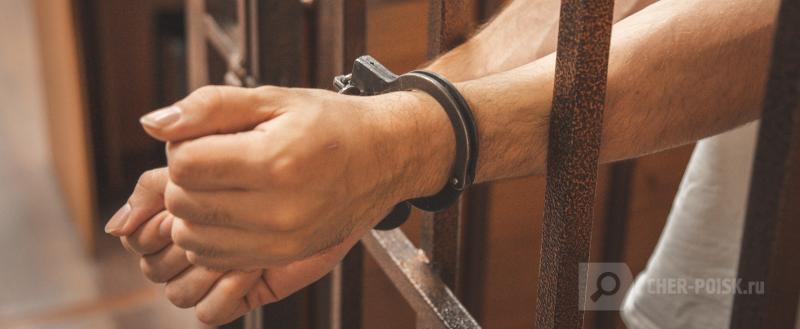 Череповец-Поиск