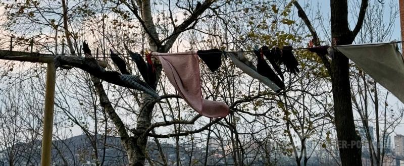 Череповец-Поиск