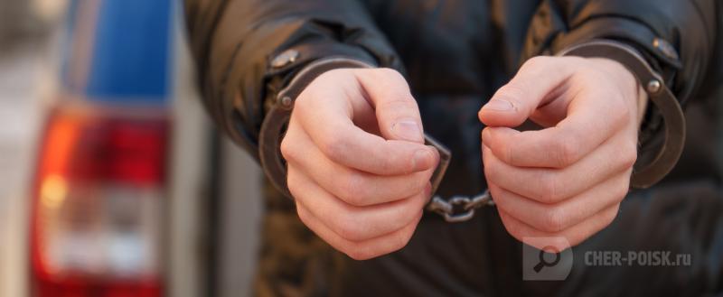 Череповец-Поиск