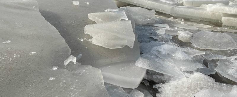 Череповец-поиск, Тимур Бойков