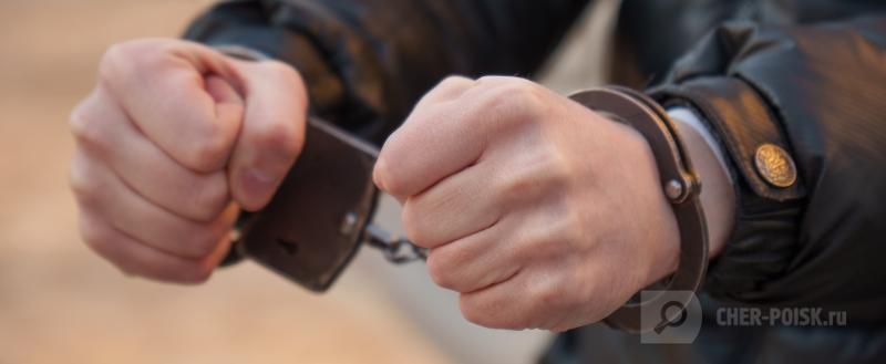 Череповец-Поиск