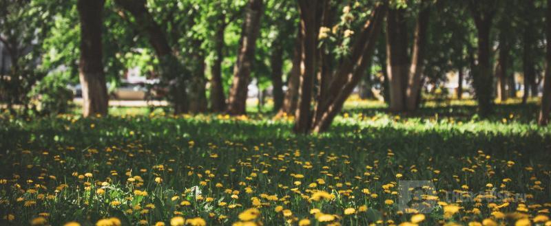 Череповец-Поиск