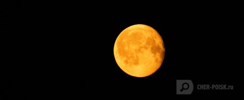 Череповец-Поиск