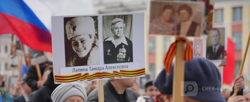 Череповец-Поиск