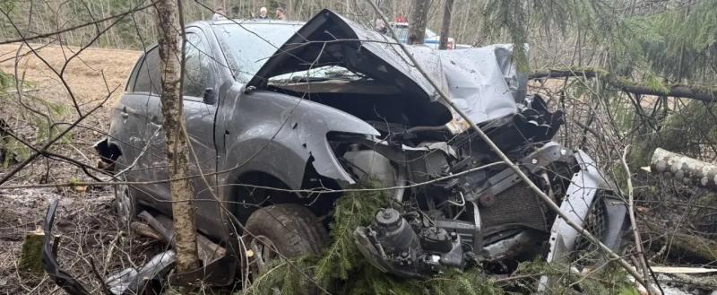 МО МВД России «Сокольский»