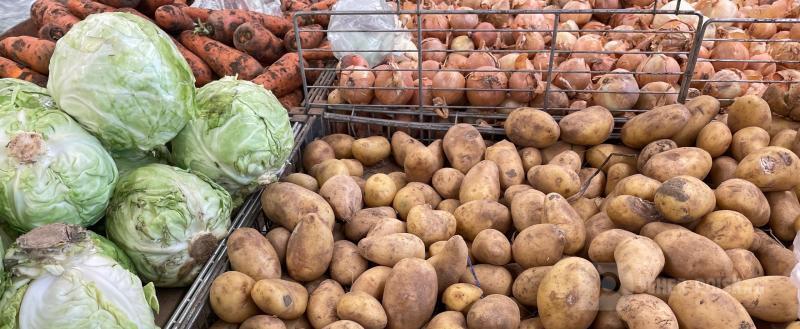 Череповец-Поиск