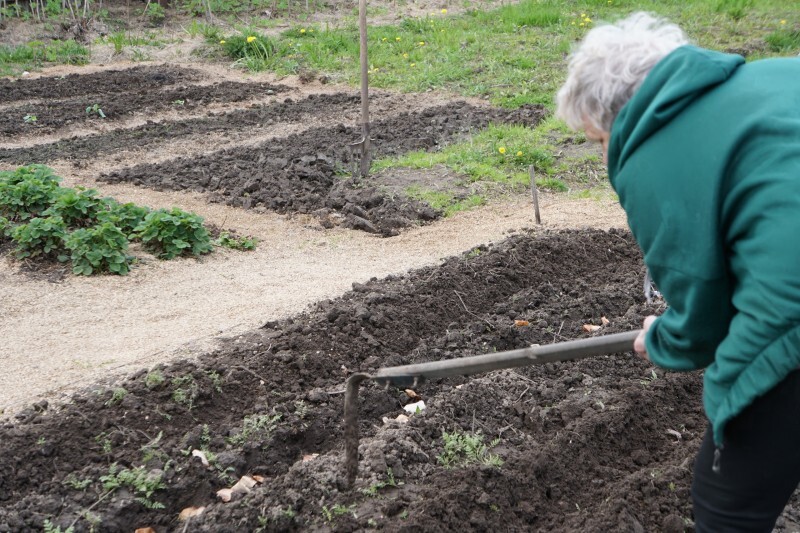 Дачный сезон и варикоз: как сохранить здоровье вен во время работ на участке