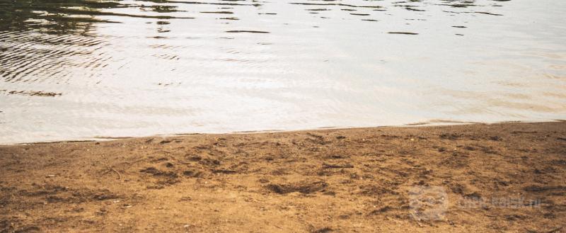 Череповец-Поиск