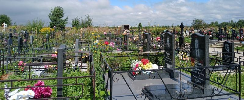 Череповец-Поиск