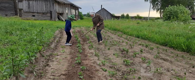 Череповец-Поиск