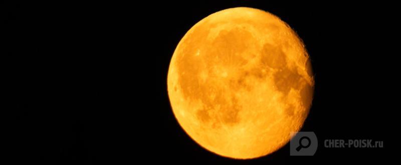 Череповец-Поиск