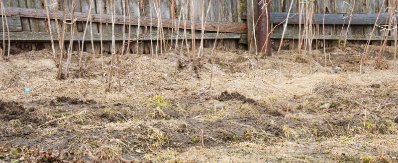 Череповец-Поиск
