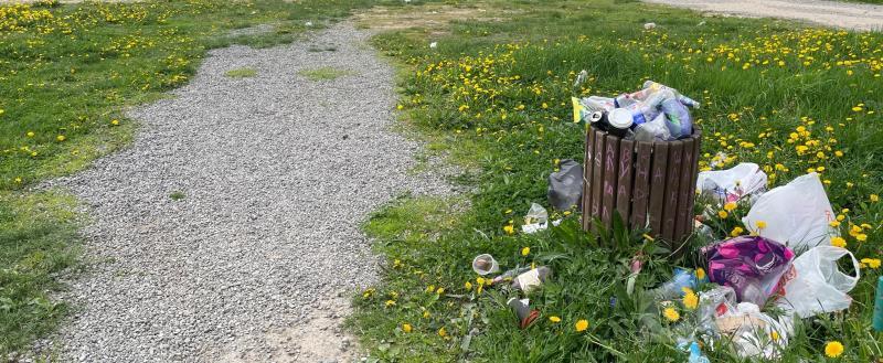 Череповец-Поиск