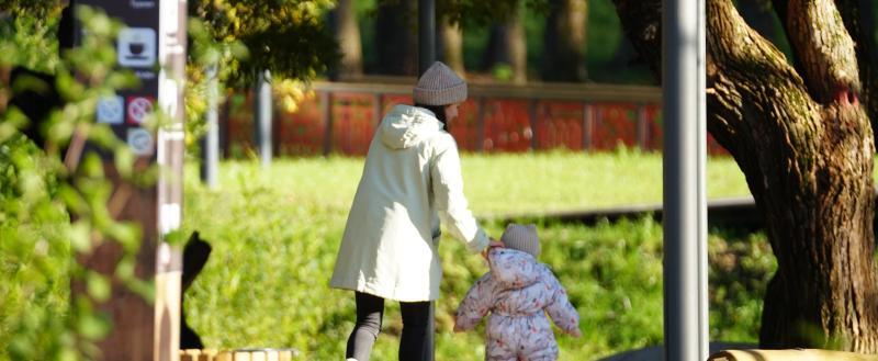 Фото Тимура Бойкова/Вологда-Поиск