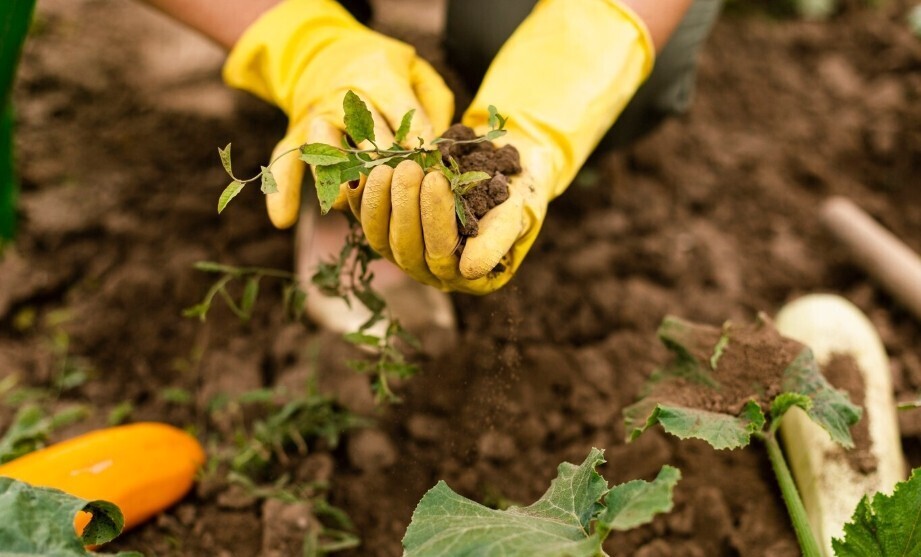 Фото freepik.com