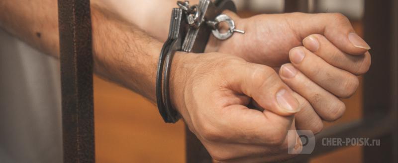 Череповец-Поиск