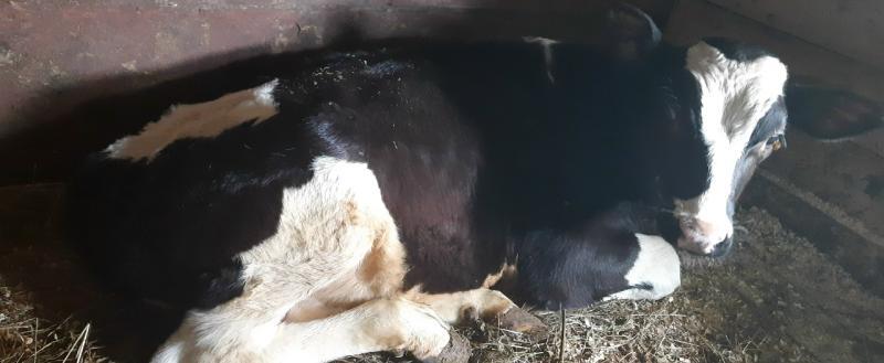 Ирина Дьякова, Vologda-poisk.ru