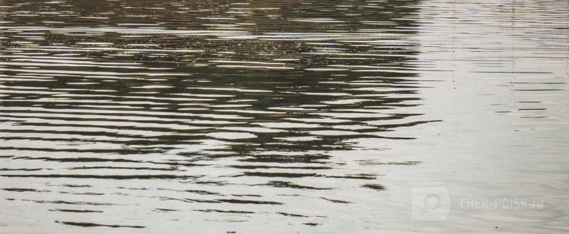 Череповец-Поиск