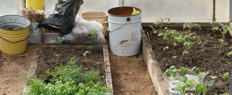 Череповец-Поиск