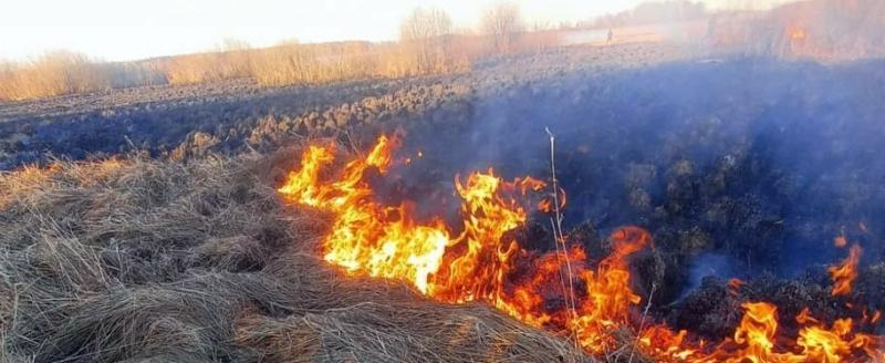 МЧС России по Вологодской области