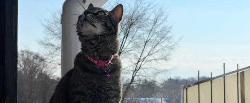 Елена Литвинова, Vologda-poisk.ru