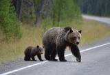 Нейросеть Midjourney