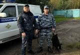УМВД России по Вологодской области