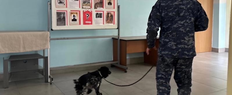 Фото: пресс-служба УМВД России по Вологодской области 