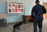 Фото: пресс-служба УМВД России по Вологодской области 