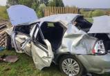 Фото: пресс-служба УМВД России по Вологодской области 
