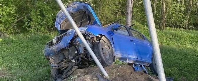 Фото: пресс-служба УМВД России по Вологодской области