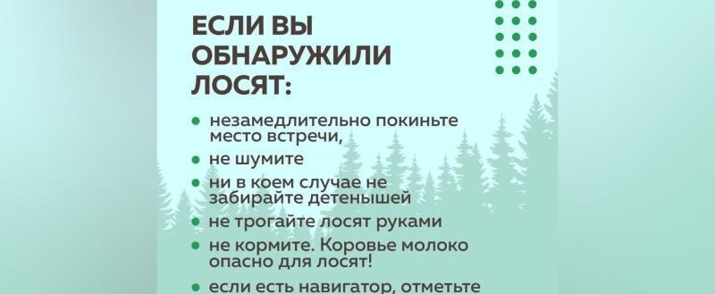 Фото: пресс-служба Главохоты Вологодской области