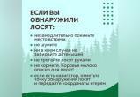 Фото: пресс-служба Главохоты Вологодской области