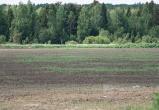 фото: Череповец-поиск