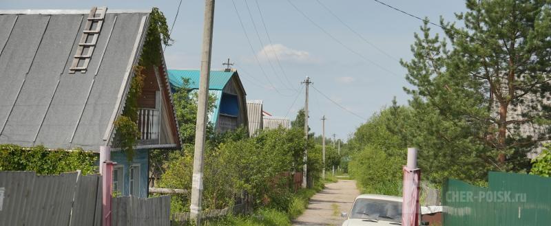 Фото: Череповец-Поиск (Тимур Бойков)