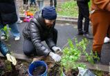 cherinfo.ru