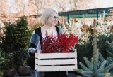 - Мне надо вникнуть, опыт у вас перенять, - мы свекрови рядом с нами дачу купили, а она у нас все время сидит